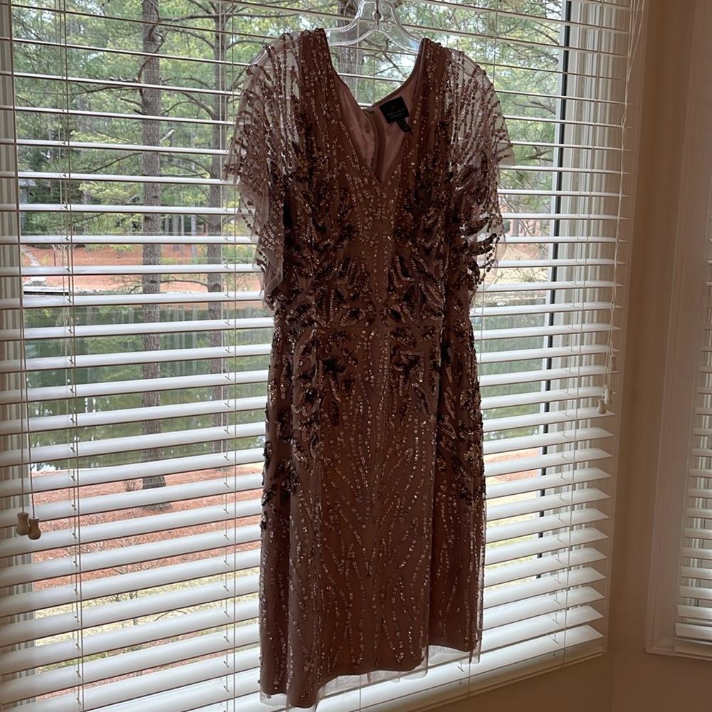 Adrianna Papell Gown